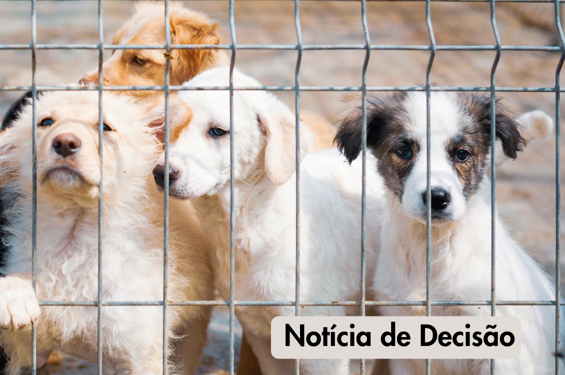 No momento, você está visualizando Maus-tratos a animais resultam em demissão por justa causa