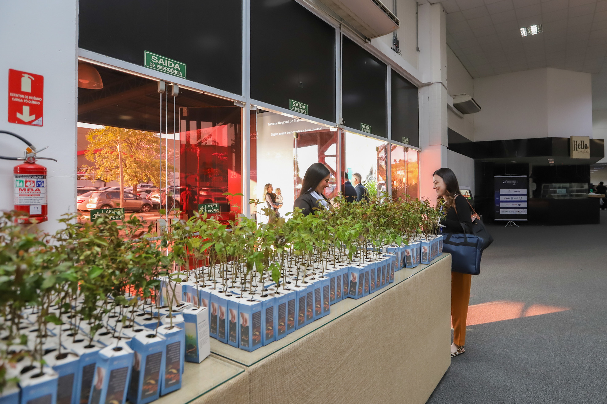 No momento, você está visualizando TRT-15 distribui 1.000 mudas durante o 25º Congresso Nacional de Direito do Trabalho e Processual do Trabalho