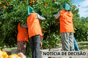 Leia mais sobre o artigo Justiça do Trabalho garante direitos em caso de exposição a agentes nocivos