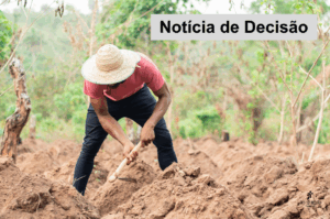 Leia mais sobre o artigo 11ª Câmara anula sentença e determina reabertura de instrução para apuração de horas in itinere em trabalho rural