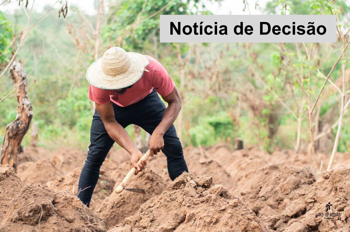 No momento, você está visualizando 11ª Câmara anula sentença e determina reabertura de instrução para apuração de horas in itinere em trabalho rural