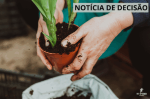 Leia mais sobre o artigo 10ª Câmara mantém sentença que rejeitou pedido de adicional de insalubridade em cultivo de plantas ornamentais