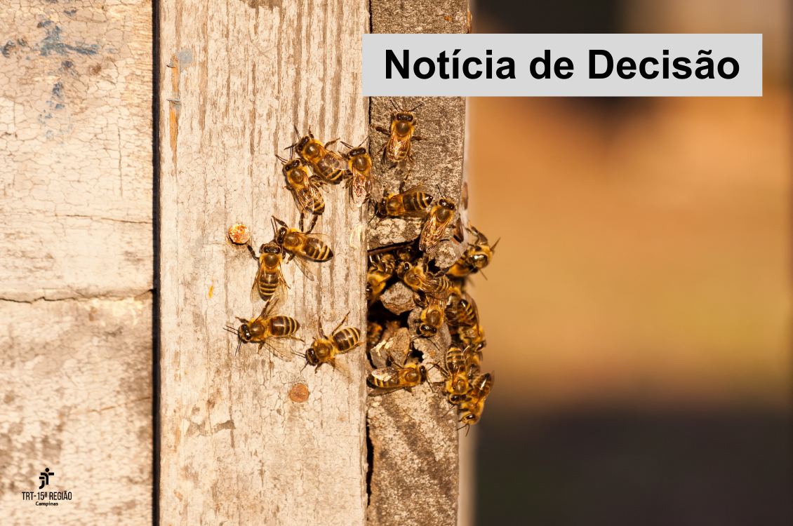 No momento, você está visualizando 7ª Câmara nega indenização à família de agente ambiental morto por ataque de abelhas