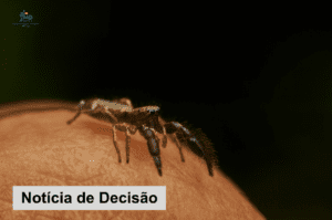 Leia mais sobre o artigo 3ª Câmara nega indenização a trabalhador picado por aranha